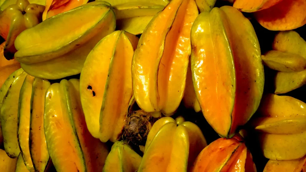 stervrucht sterfruit carambola